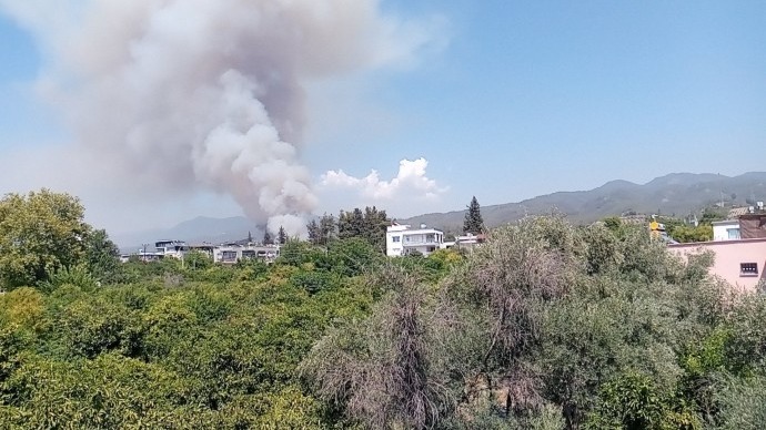 Hatay’ın Dörtyol ilçesinde orman yangını